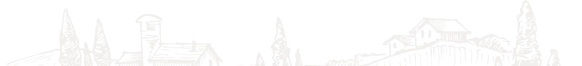 Fondo decorativo de viñedo