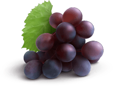 Racimo de uvas