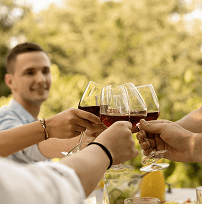 Tour Viñedo Premium