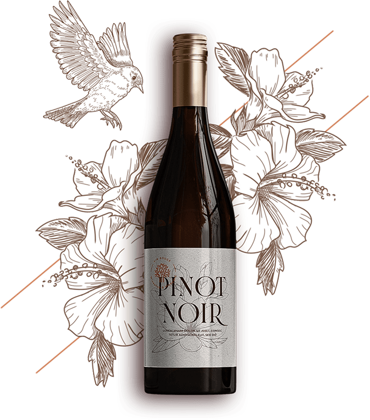 Imagen principal de vino