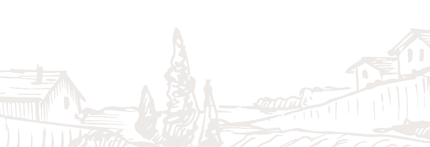 Fondo decorativo de viñedo